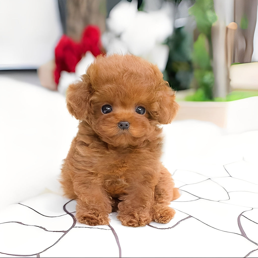 Cuddly Plush Dog Friend — Airbrushed Details & Sculpted Eyes