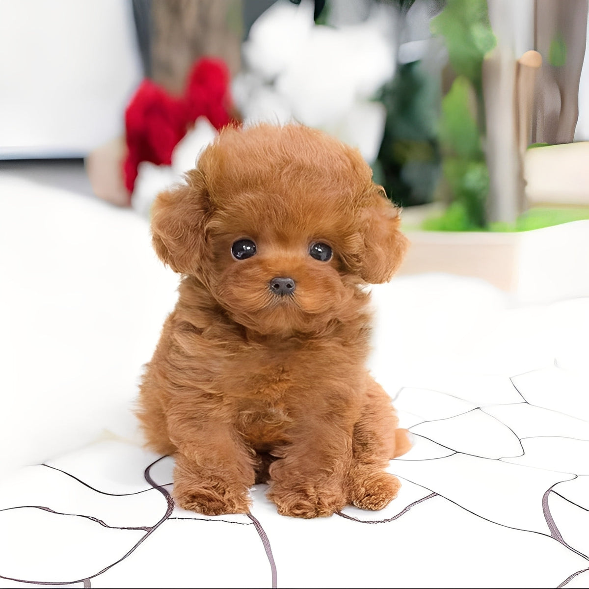 Cuddly Plush Dog Friend — Airbrushed Details & Sculpted Eyes