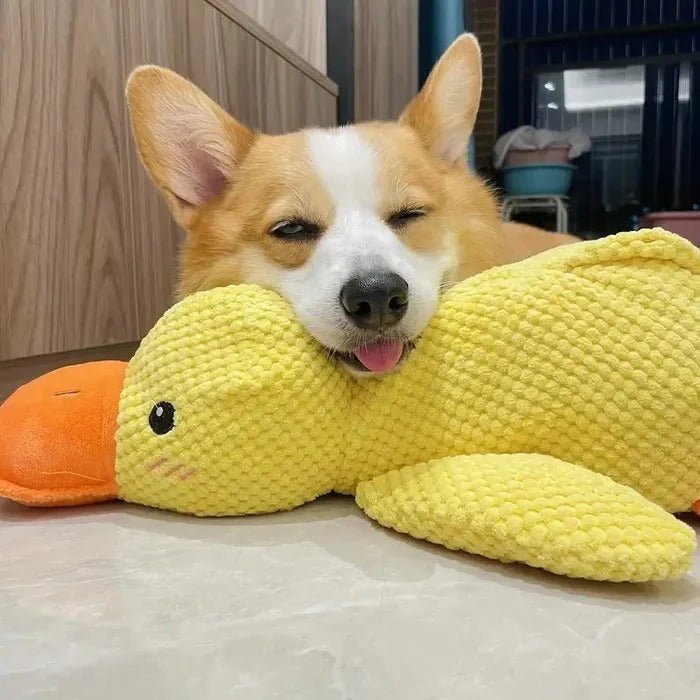 Brinquedo de borracha para cães em forma de pato - costuras reforçadas, vários tamanhos
