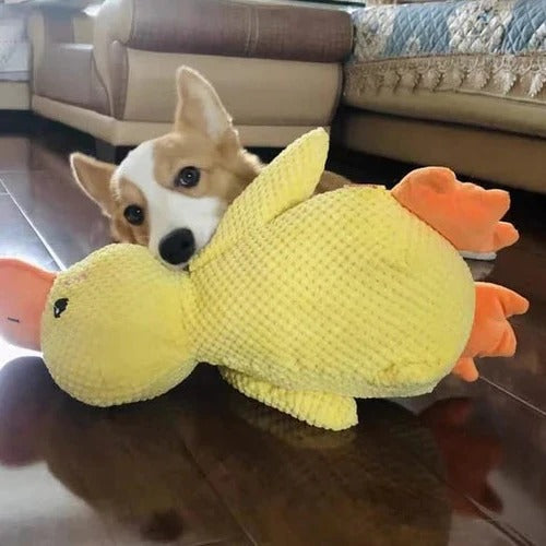 Brinquedo de borracha para cães em forma de pato - costuras reforçadas, vários tamanhos