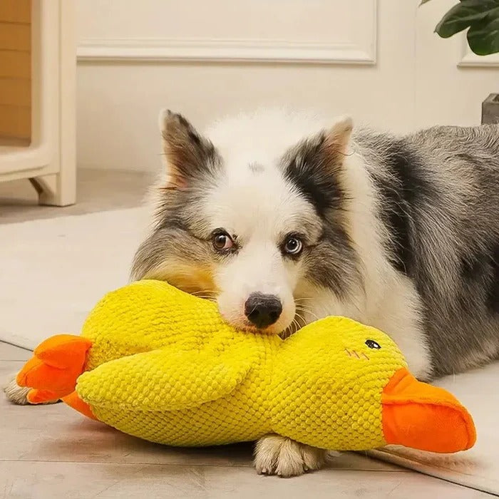 Brinquedo de borracha para cães em forma de pato - costuras reforçadas, vários tamanhos