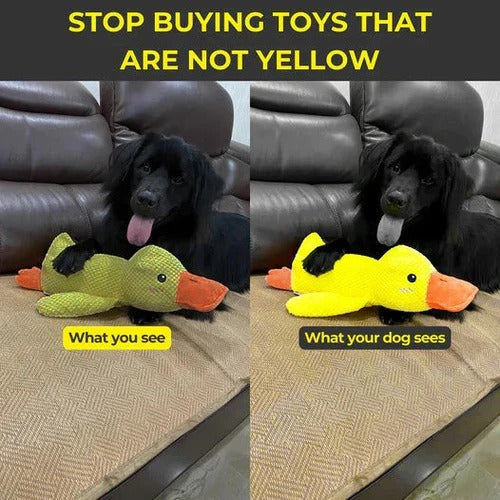 Brinquedo de borracha para cães em forma de pato - costuras reforçadas, vários tamanhos