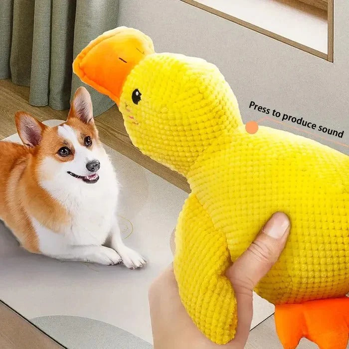 Brinquedo de borracha para cães em forma de pato - costuras reforçadas, vários tamanhos