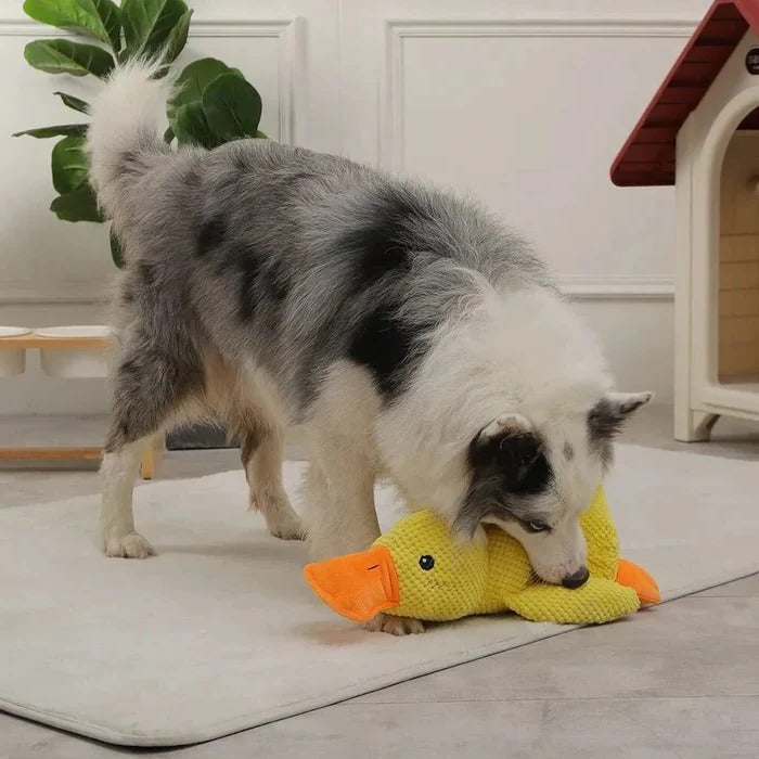 Brinquedo de borracha para cães em forma de pato - costuras reforçadas, vários tamanhos
