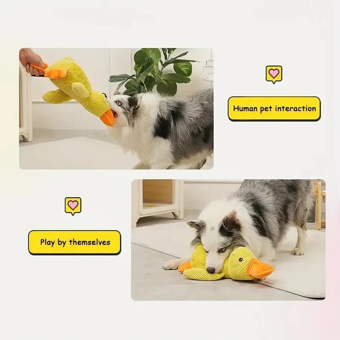 Brinquedo de borracha para cães em forma de pato - costuras reforçadas, vários tamanhos