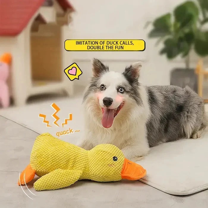 Brinquedo de borracha para cães em forma de pato - costuras reforçadas, vários tamanhos