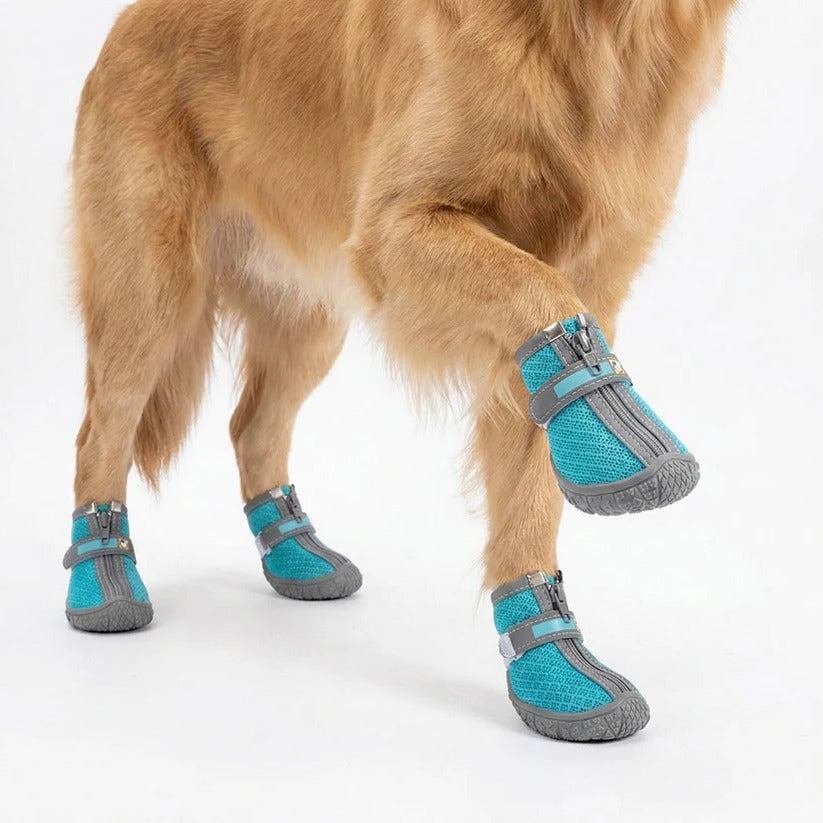 Lot de 4 bottes imperméables et respirantes pour chiens - semelles antidérapantes