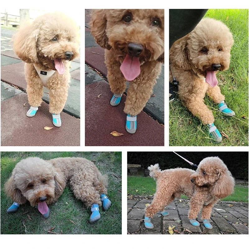 Set of 4 Waterproof Breathable Dog Boots — Non-Slip Soles