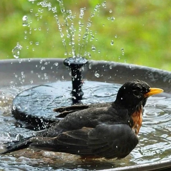 Solar-Powered Garden Water Fountain — Eco-Friendly Water Display