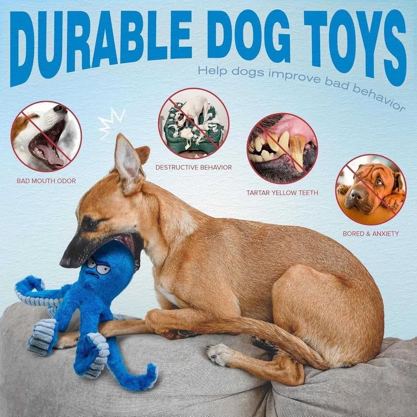 Durable Plush Dog Toy — Squeaker and Crinkle Sound