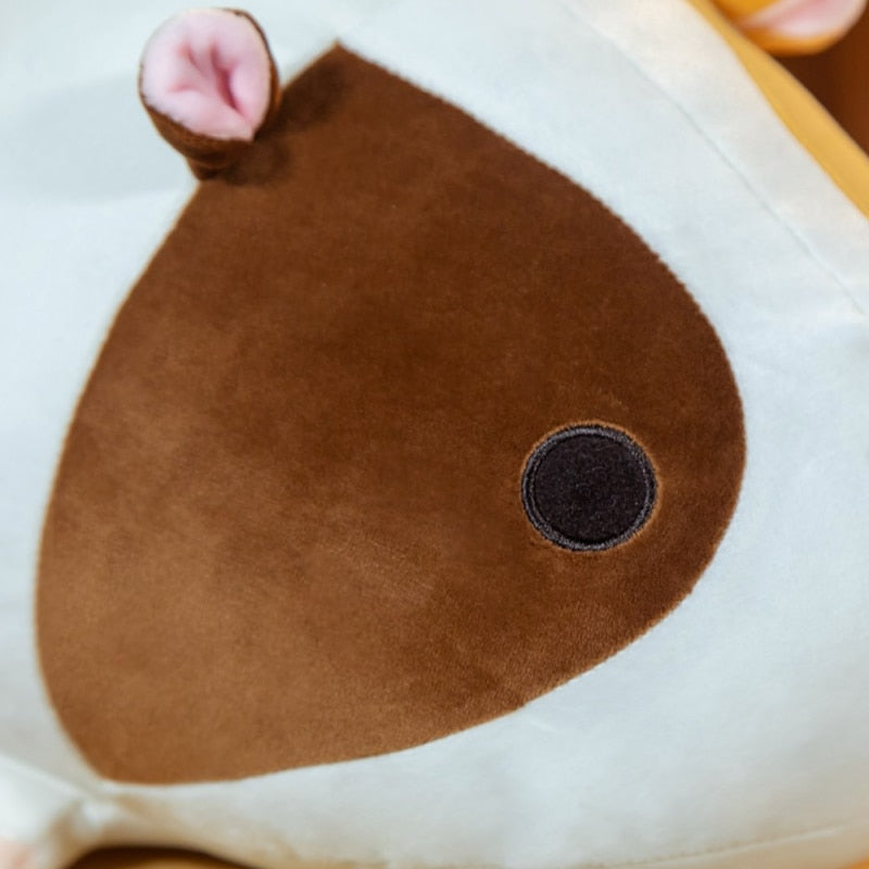 かわいい寝そべるモルモットたちの仲間 | ventumra