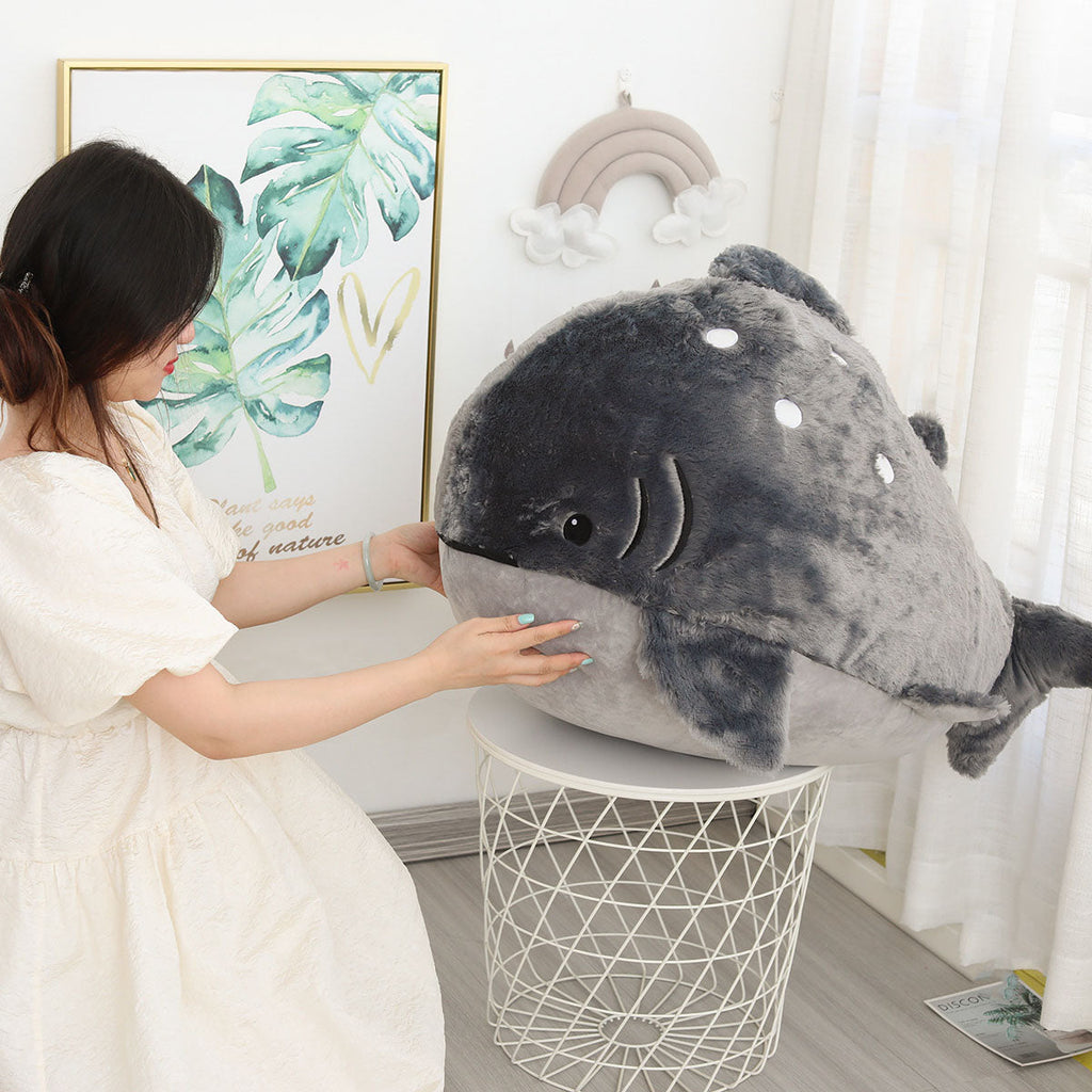 Chonky Shark Plush | ventumra