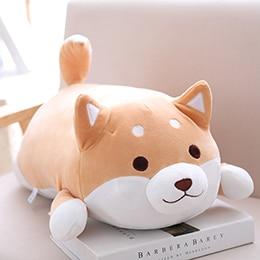 Shiba Inu paffuto | ventumra
