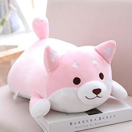 Shiba Inu paffuto | ventumra