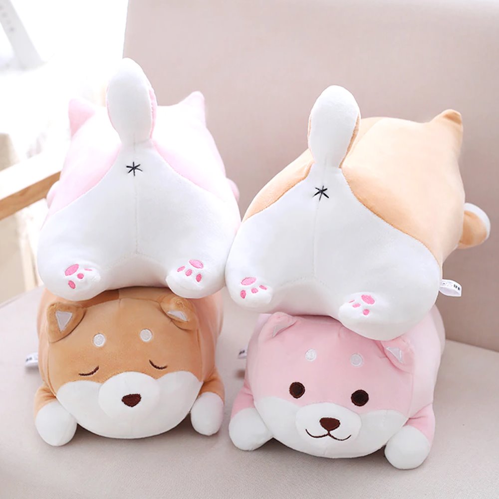 Shiba Inu paffuto | ventumra