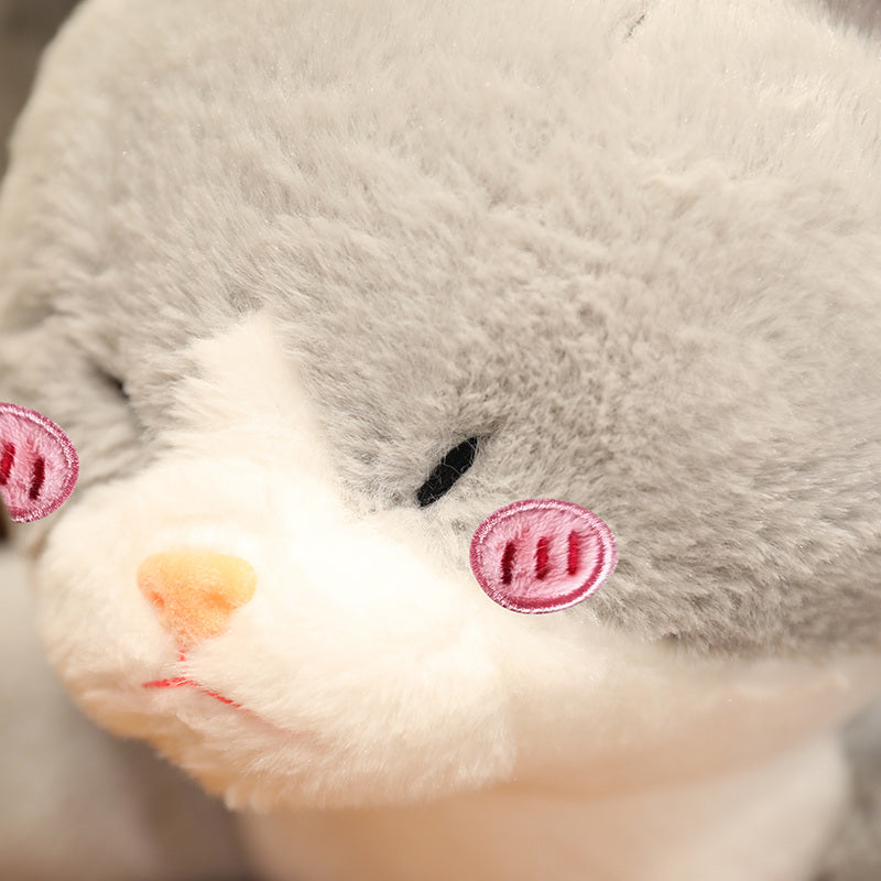 Peluche Kawaii Grigio Metà Gatto Metà Squalo | ventumra
