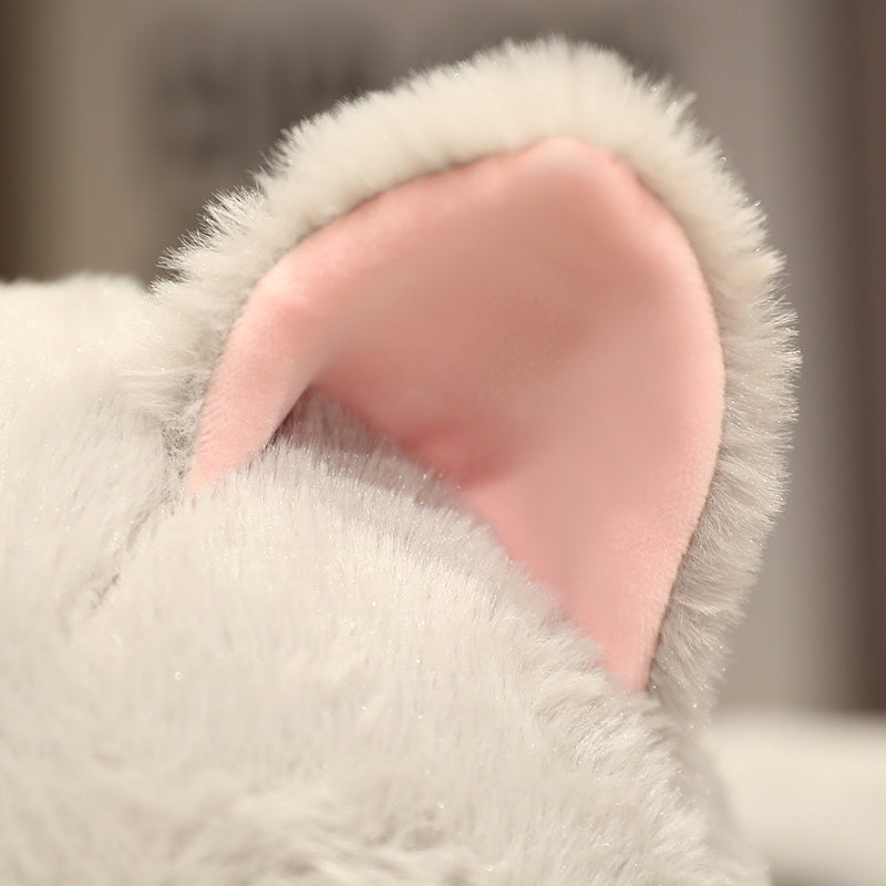 Peluche Kawaii Grigio Metà Gatto Metà Squalo | ventumra