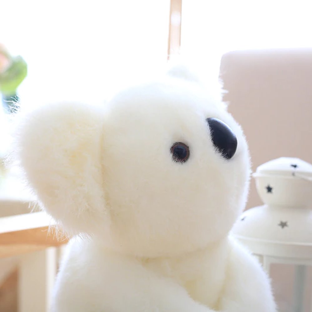 Rodzina misiów koala | ventumra