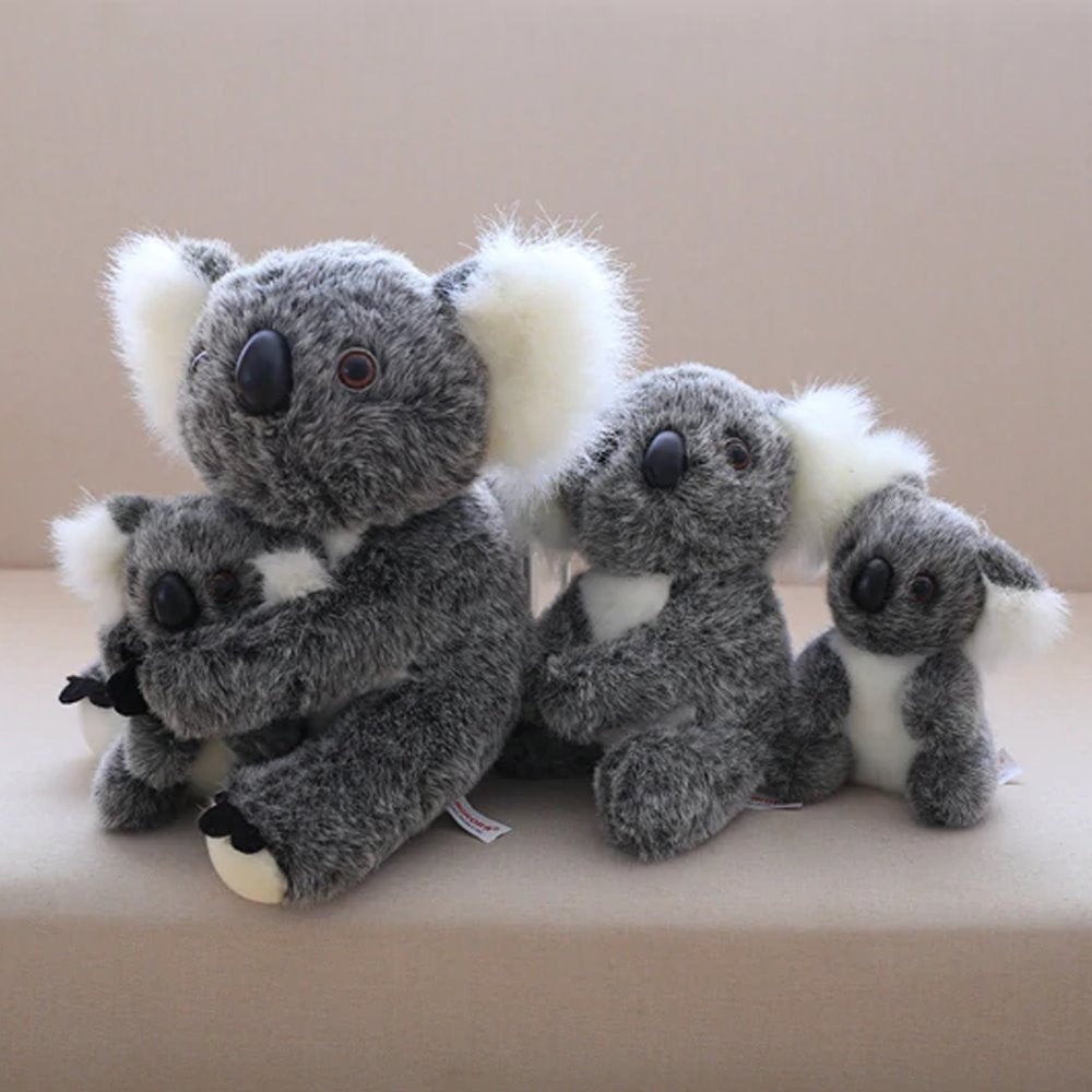 Rodzina misiów koala | ventumra