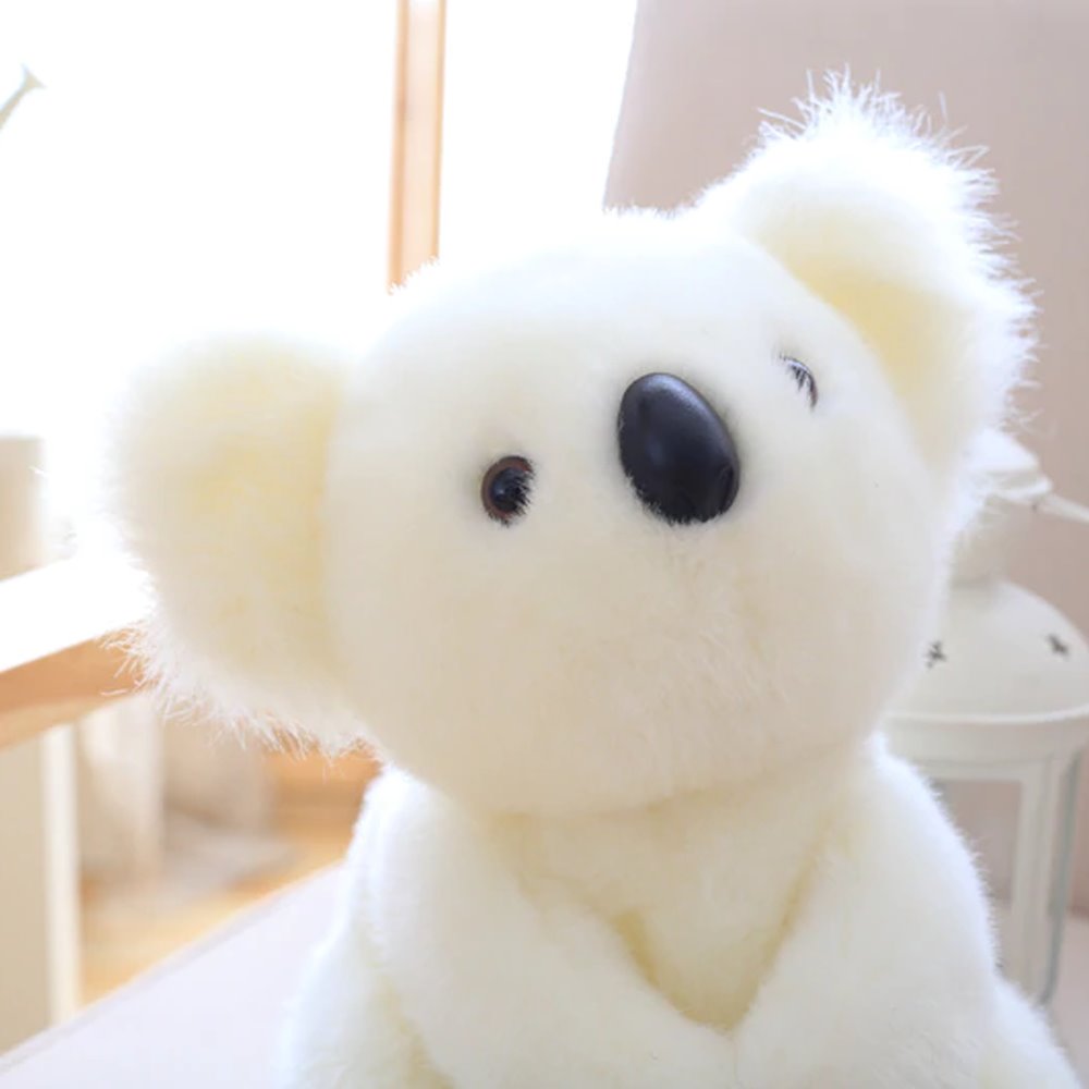 Rodzina misiów koala | ventumra