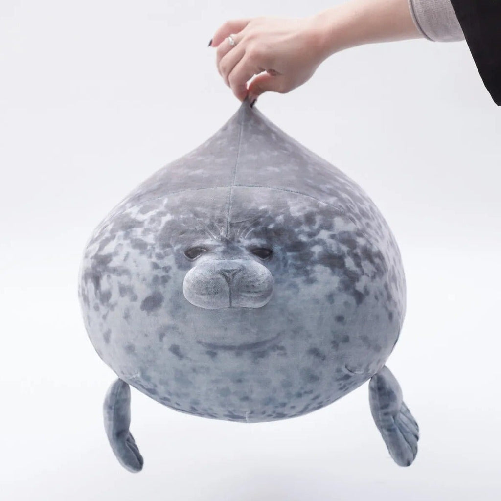 Foca paffuta e pigra | ventumra