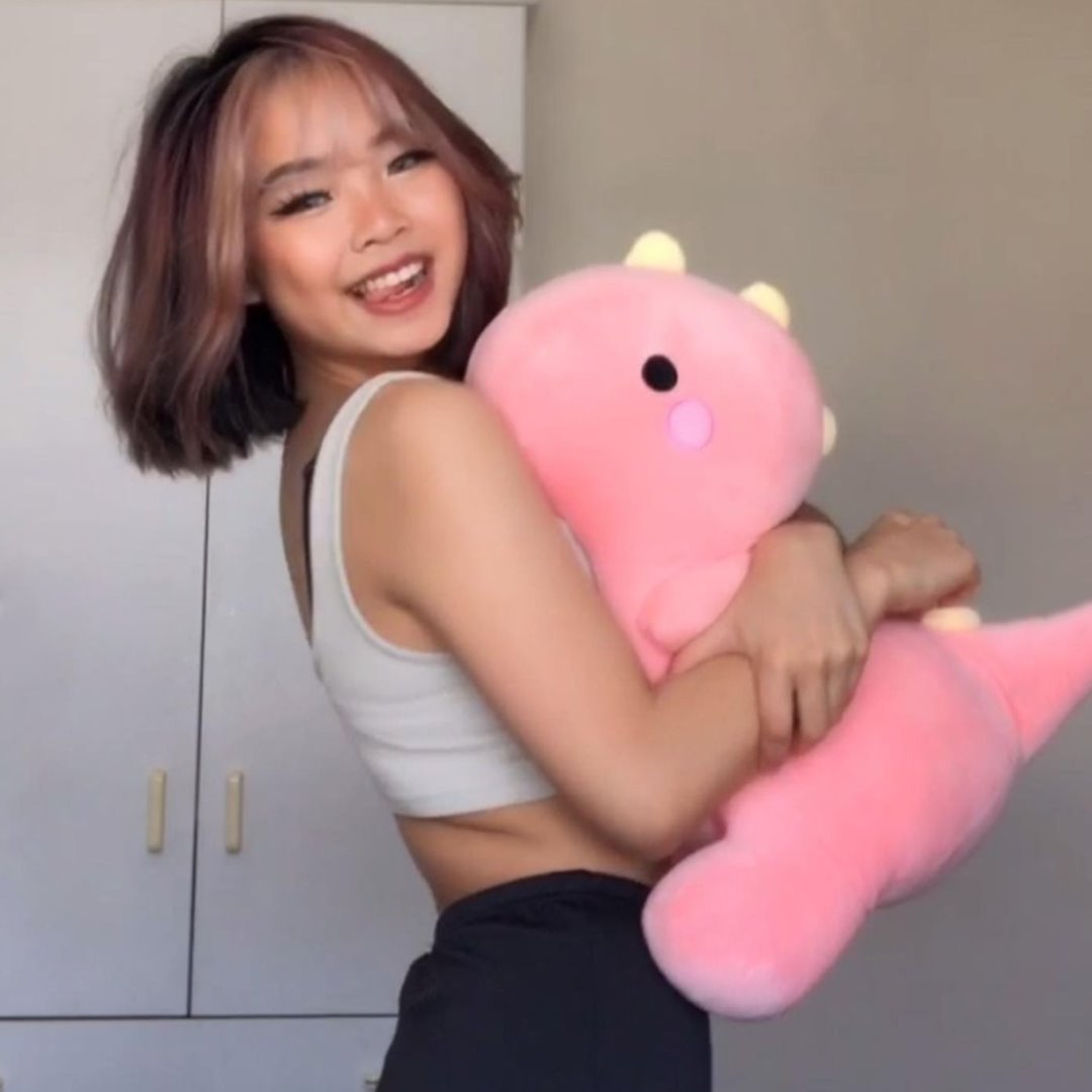Taco, Taki & Tabi The Dino Family Plushies | ventumra