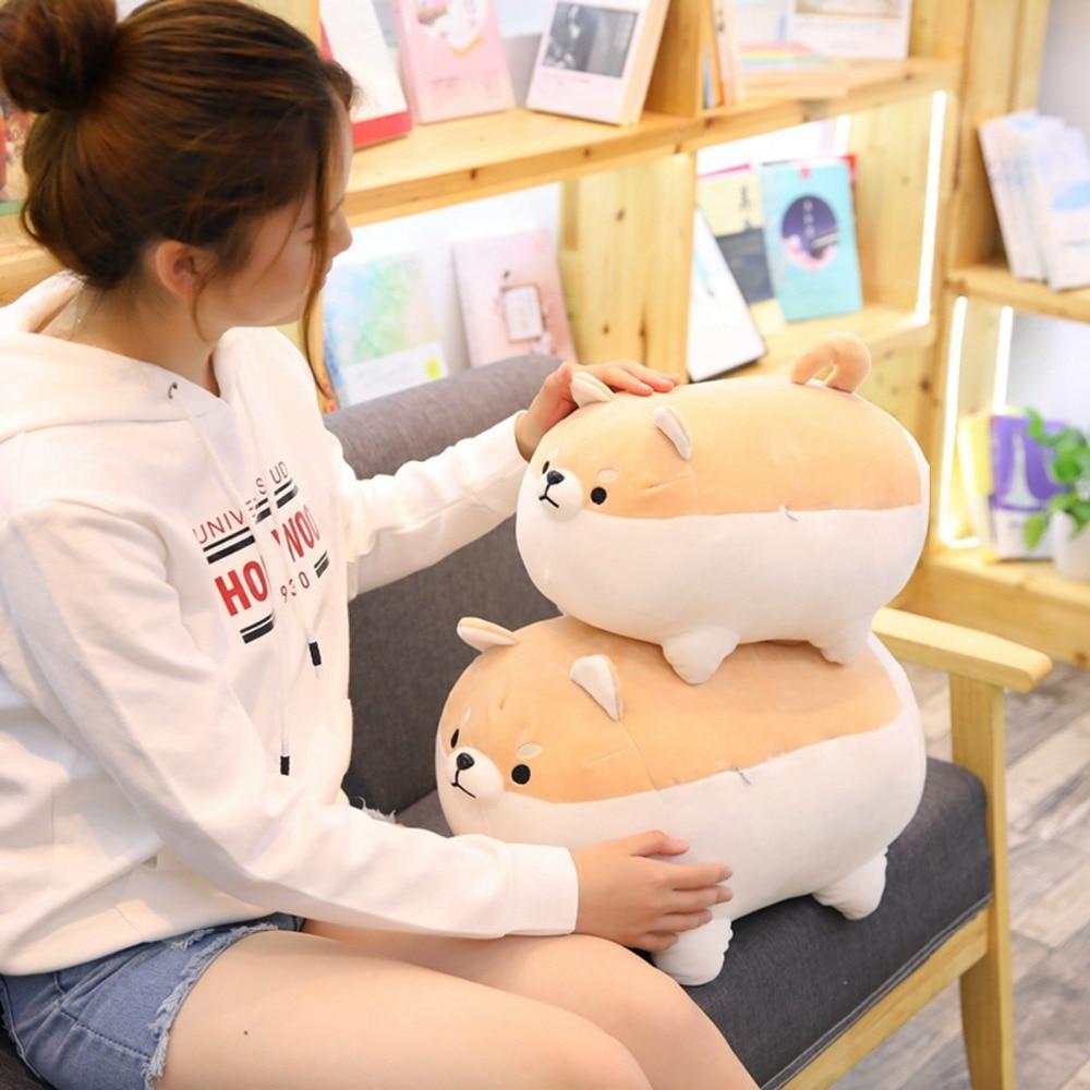 Il trio di peluche degli Shiba arrabbiati | ventumra