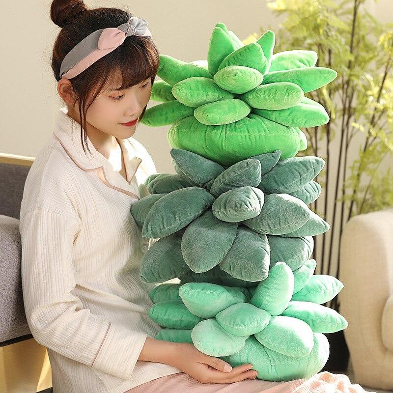 Vibrant Succulent Plush Squad | ventumra