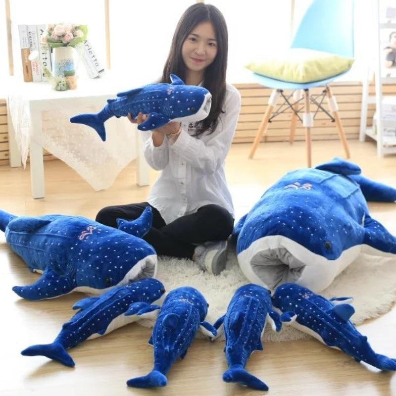 Whale Shark Family | ventumra