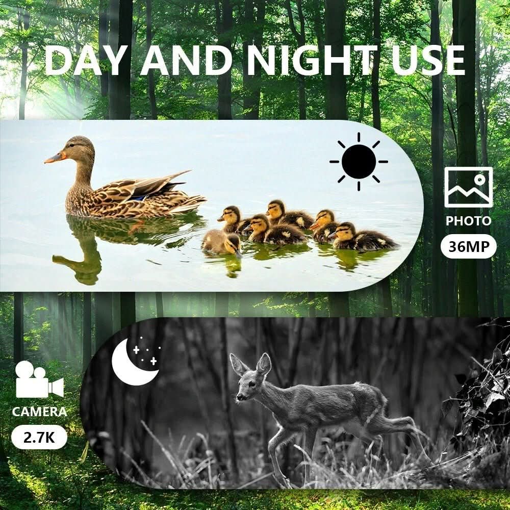 LumaGuard 300 Meter Range Night Vision Binoculars — Integrated Recording