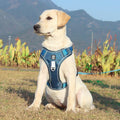 PawsControl - The Ultimate No Pull Dog Harness | ventumra