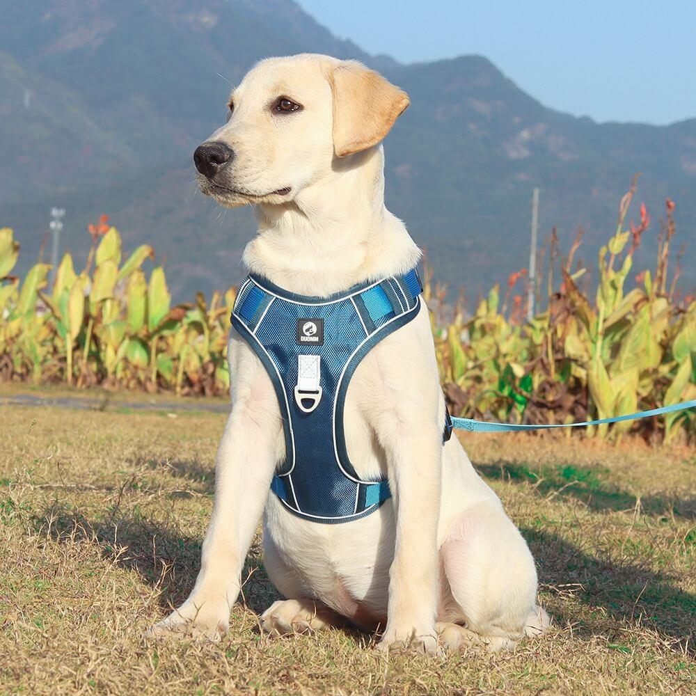 PawsControl - The Ultimate No Pull Dog Harness | ventumra
