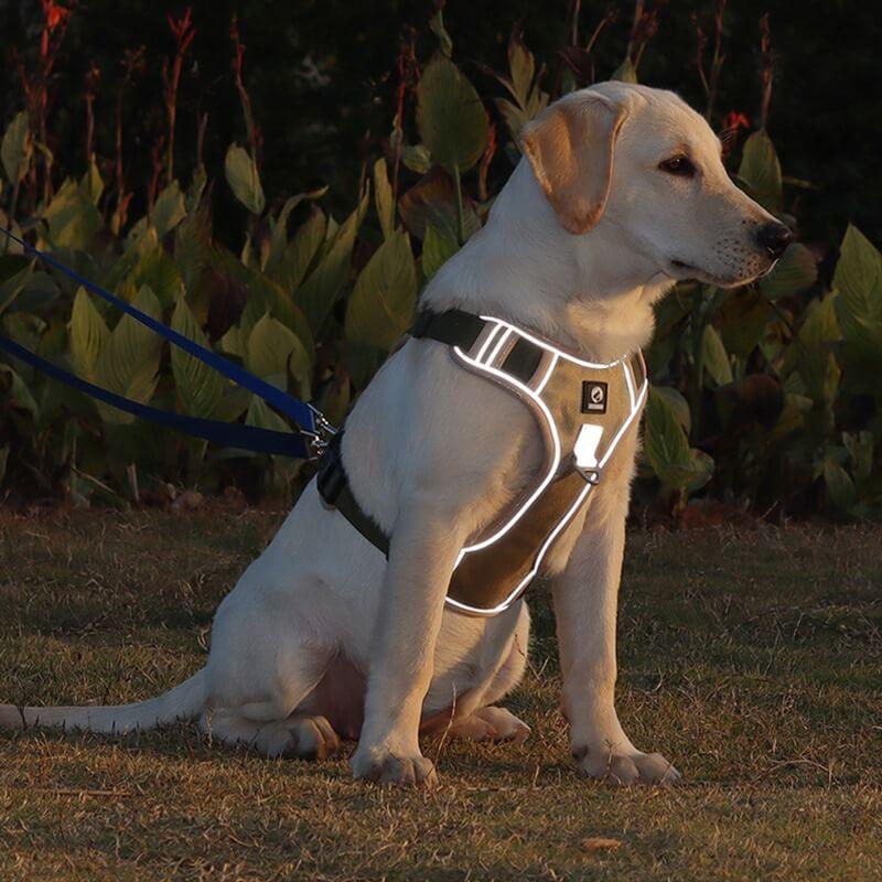 PawsControl - The Ultimate No Pull Dog Harness | ventumra