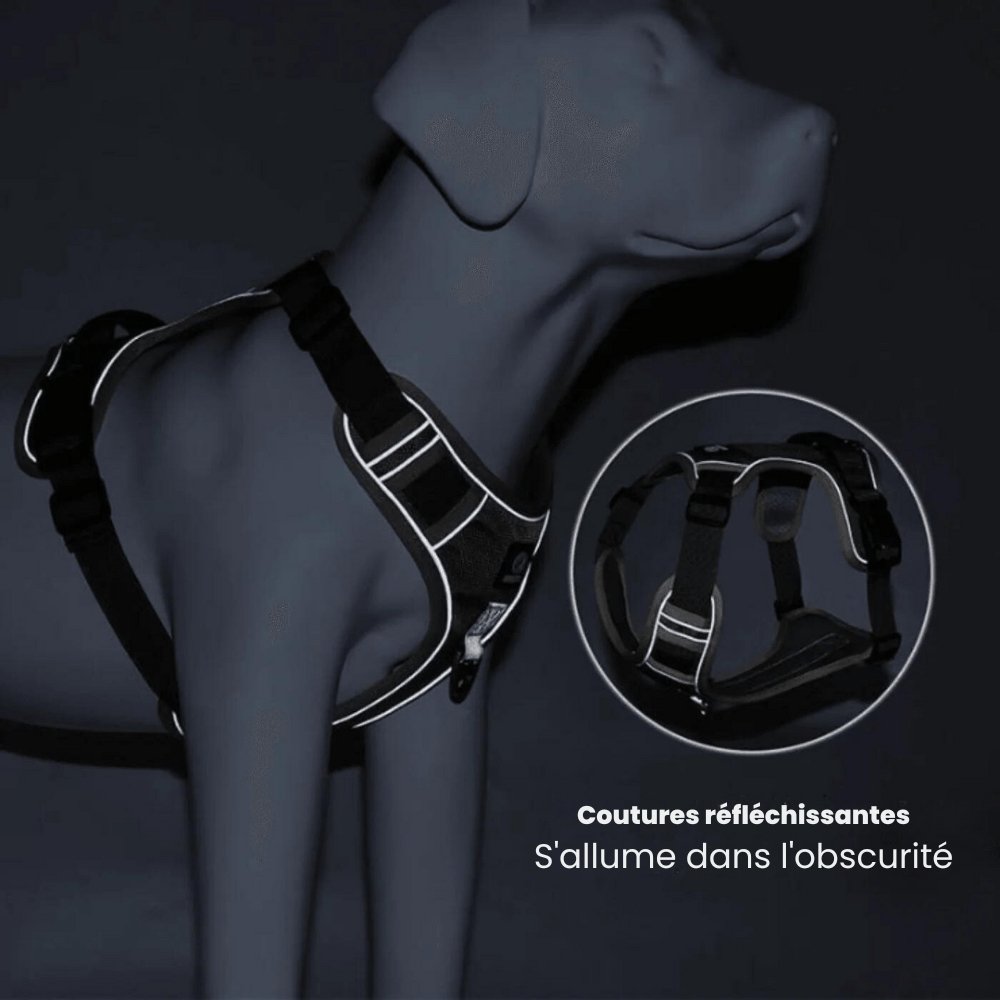 PawsControl - The Ultimate No Pull Dog Harness | ventumra