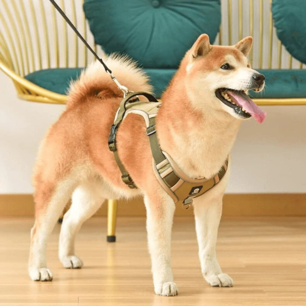 PawsControl - The Ultimate No Pull Dog Harness | ventumra