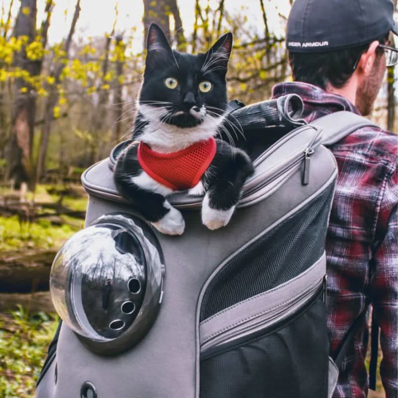 VistaPaw Foldable Cat Travel Bag — Panorama Window, Padded Base