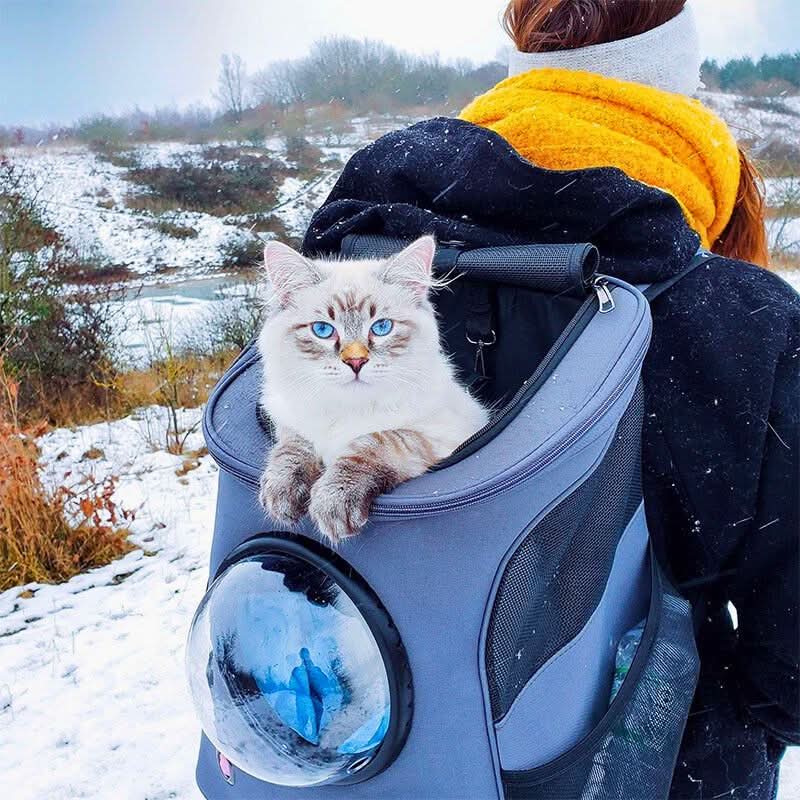 VistaPaw Foldable Cat Travel Bag — Panorama Window, Padded Base