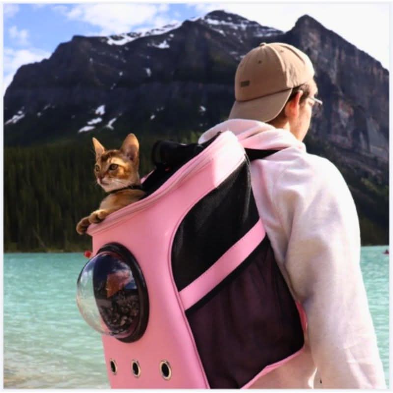 VistaPaw Foldable Cat Travel Bag — Spacious Panoramic Window, Structured Comfort Design