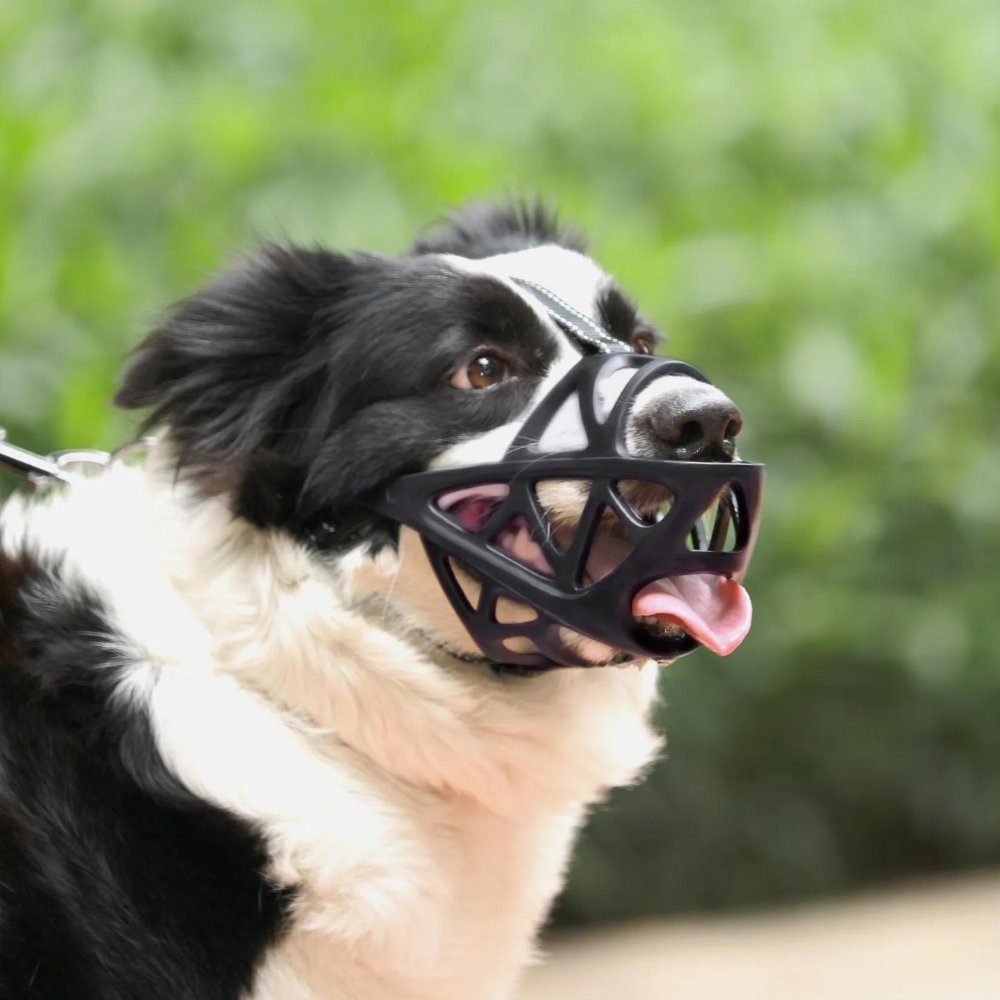 SafeBark Adjustable Dog Muzzle for No Barking | ventumra