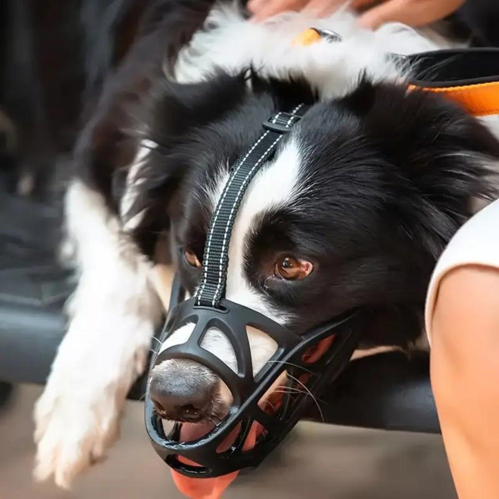 SafeBark Adjustable Dog Muzzle for No Barking | ventumra