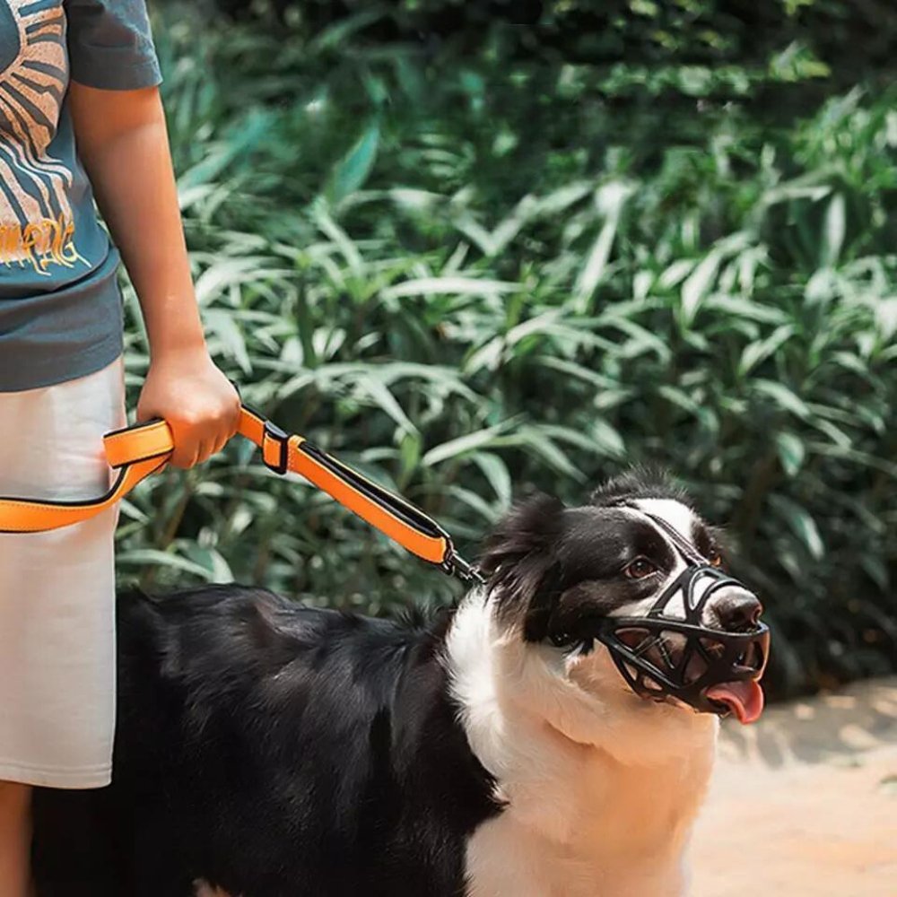 SafeBark Adjustable Dog Muzzle for No Barking | ventumra