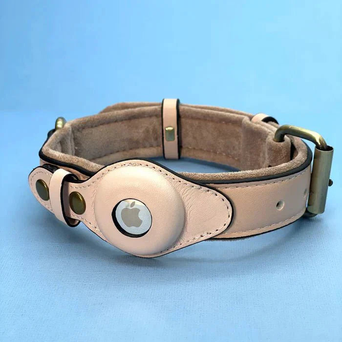 SafeTrack • Premium AirTag Dog Collar | ventumra