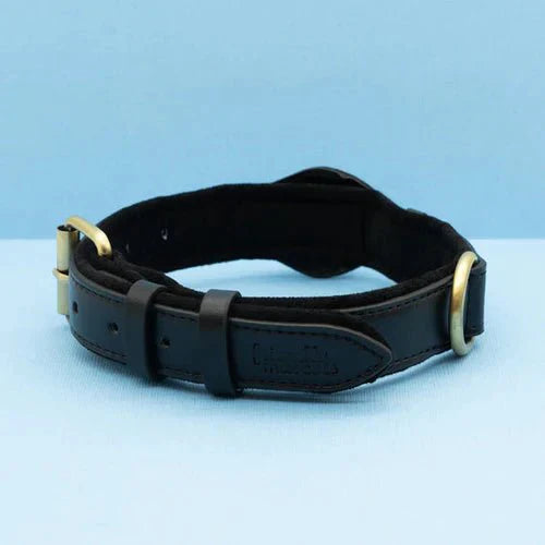 SafeTrack • Premium AirTag Dog Collar | ventumra
