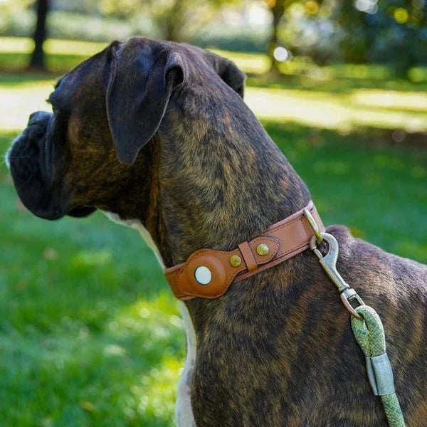 SafeTrack • Premium AirTag Dog Collar | ventumra