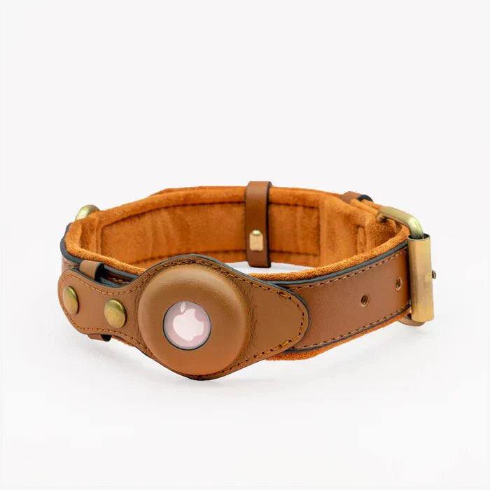 SafeTrack • Premium AirTag Dog Collar | ventumra