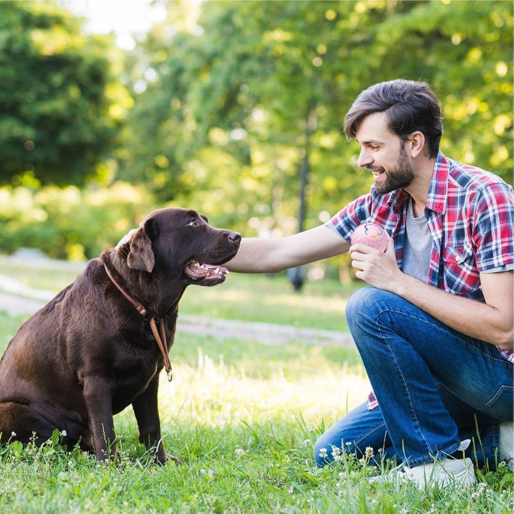 SmartBounce  • Dog Toy Ball | ventumra