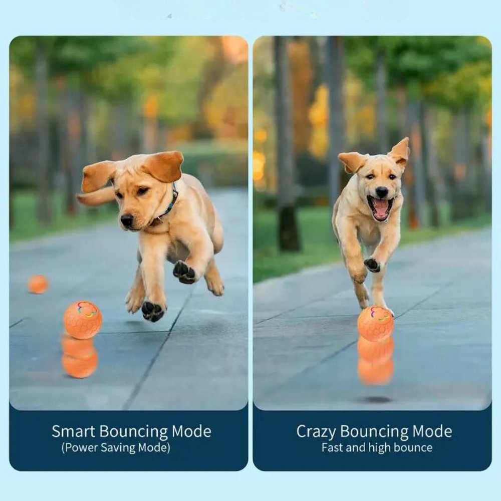 SmartBounce  • Dog Toy Ball | ventumra