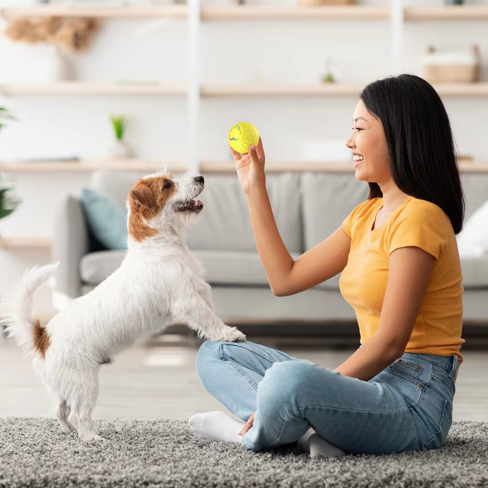 SmartBounce  • Dog Toy Ball | ventumra