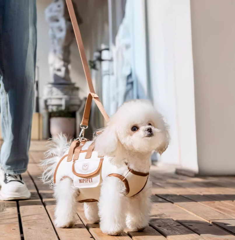 SpineCare Pet Carrier — End Your Dog’s Pain with Soft, Supportive Comfort Everywhere You Go | ventumra