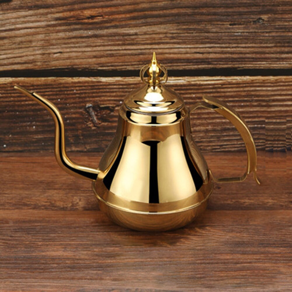 Precision-Pour Stainless Steel Kettle with Coffee & Tea Filter
